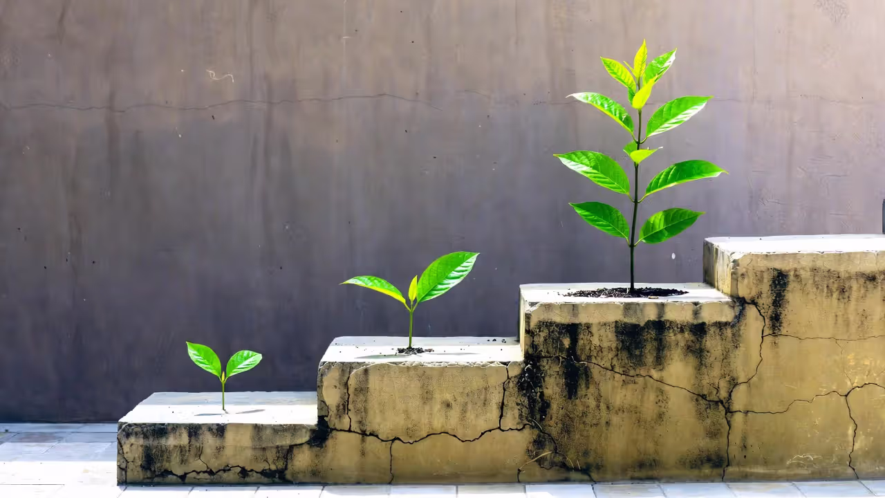 Steps toward secure attachment